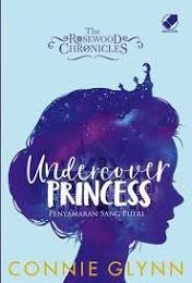Under Cover Princess